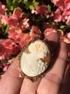 19th century carved shell cameo